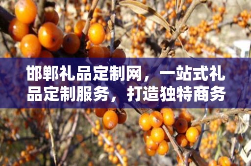 邯郸礼品定制网，一站式礼品定制服务，打造独特商务礼品供应链