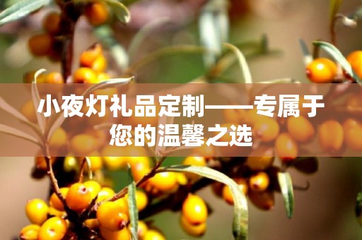 小夜灯礼品定制——专属于您的温馨之选