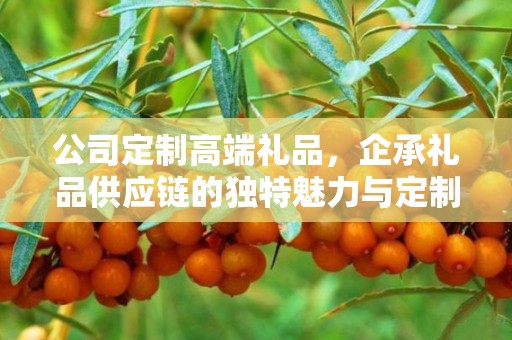 公司定制高端礼品，企承礼品供应链的独特魅力与定制体验