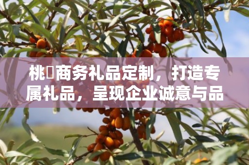 桃璟商务礼品定制，打造专属礼品，呈现企业诚意与品味